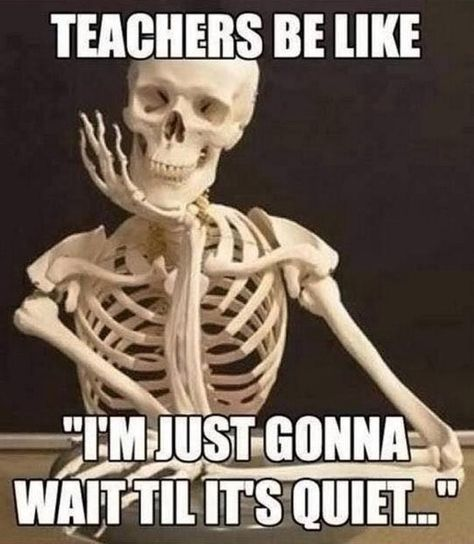 teacher funny meme